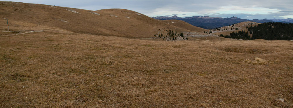 trincee altipiani di asiago